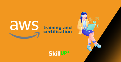 Domain 6 Review: AWS Certified DevOps Engineer - Professional (DOP-C02 - English)